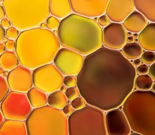 Aceite de Orégano