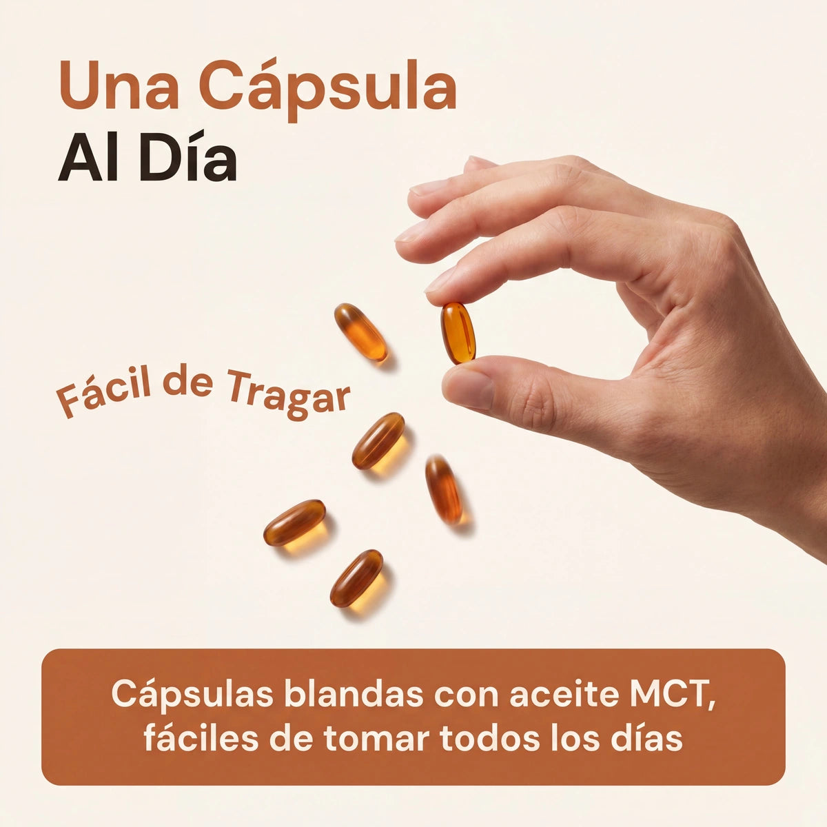 Canela de Ceilán 7200 mg con aceite MCT